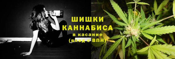 шишки Баксан