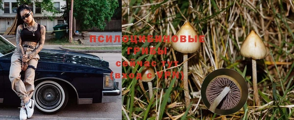 СК Балабаново