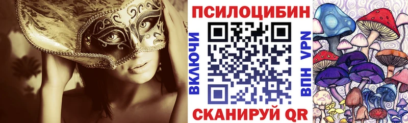 сколько стоит Севск Галлюциногенные грибы Psilocybe